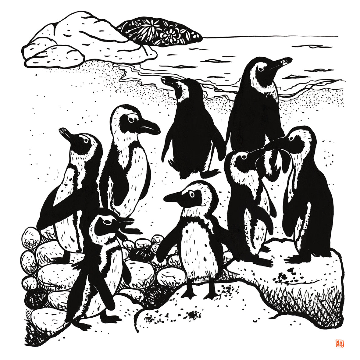Black & White 8 Penguins