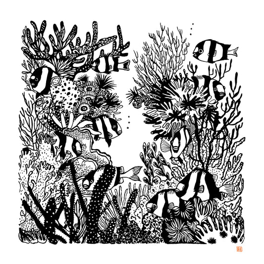 11 FISH