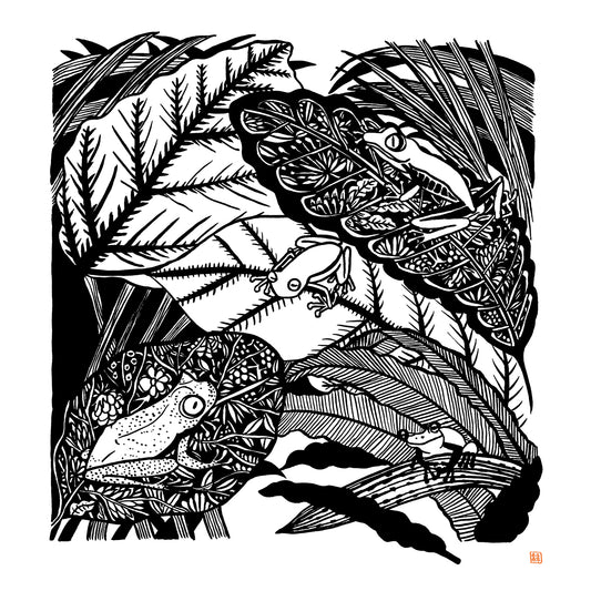 4 FROGS