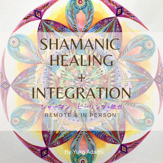 SHAMANIC HEALING + INTEGRATION Support (2 SESSIONS IN ONE) SPECIAL PRICE OFFER
