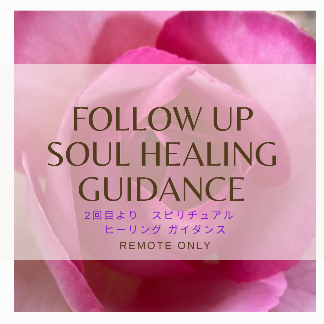 FOLLOW UP Soul HEALING Consultation / Soul Guidance