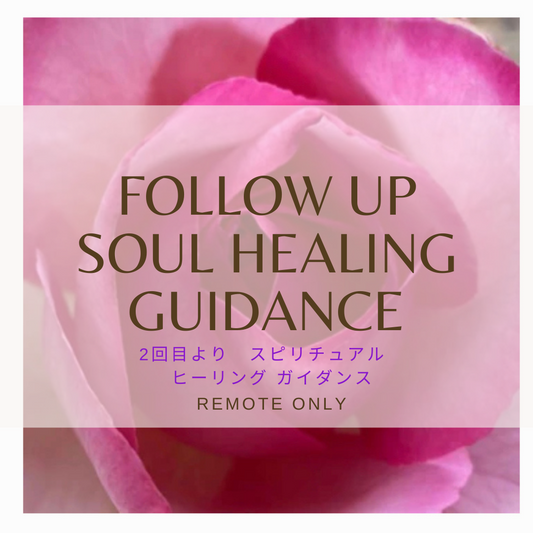 50 minutes FOLLOW UP Soul HEALING Consultation / Soul Guidance