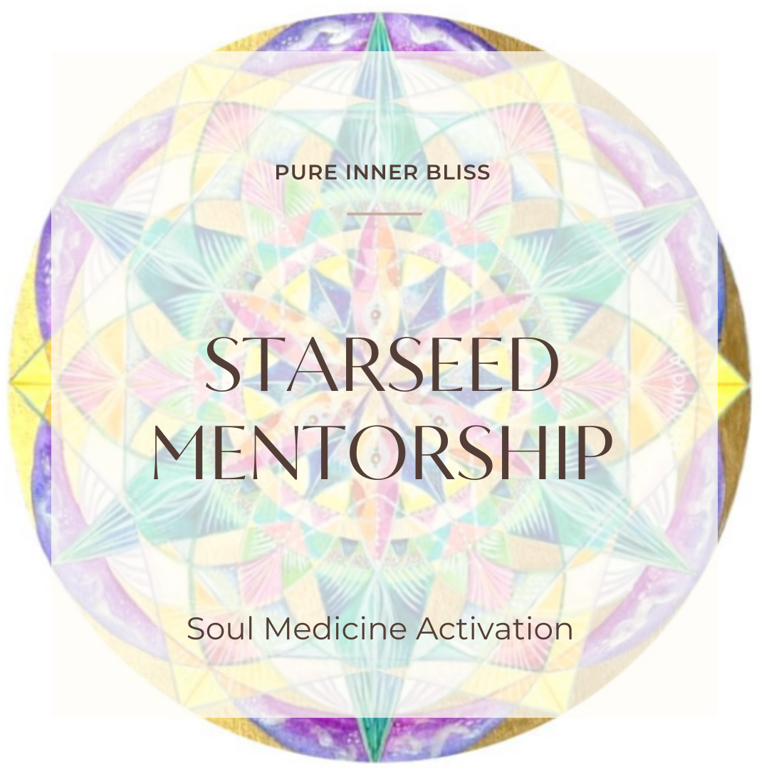 STARSEED MENTORSHIP