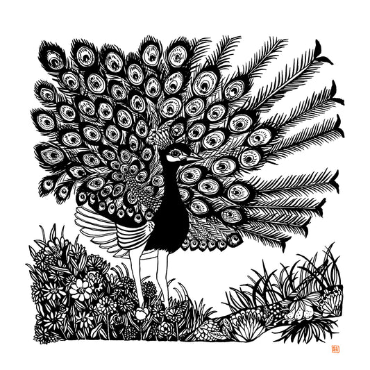 Peacock  giclee prints