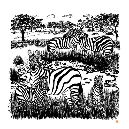 Zebras  giclee prints