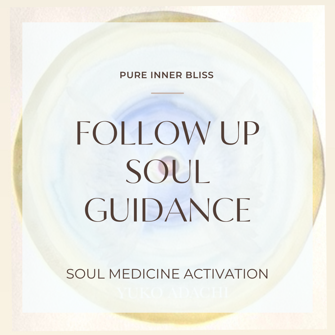 SOUL GUIDANCE : 30 MINUTES