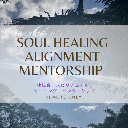 3 months 1:1 Soul HEALING Alignment Spiritual Guidance Mentorship
